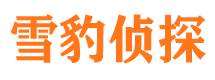 贡井市调查公司